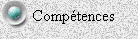 Comp&eacute;tences