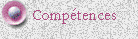 Comp&eacute;tences